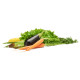 Boîte de conservation fruits et légumes Greensaver 4,7 L